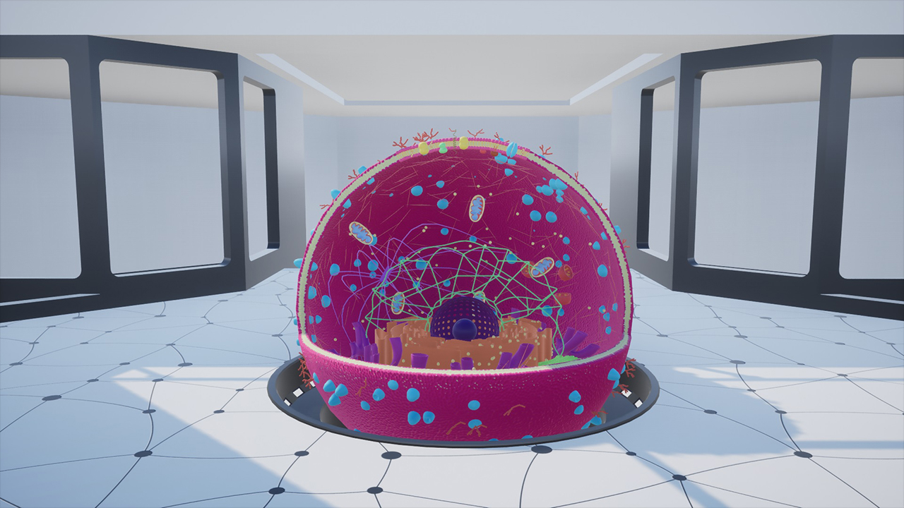 VR biology education platform showing interactive 3D cell exploration